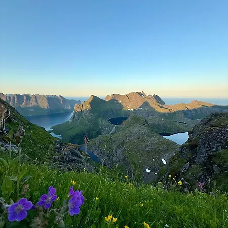 Lux Gravdal (Vestvagoy)